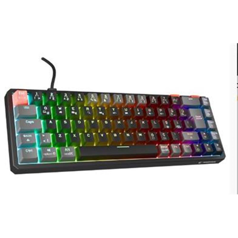 Rampage YORU MINI Siyah-Gri Type-C Bağlantılı OUTEMU Red Swich Q Mekanik Gaming Oyuncu Klavye RGB