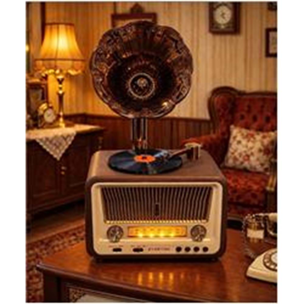 Everton Rt-608 Bluetooth Fm-Usb-Tf-Aux Şarjlı Nostaljik Radyo