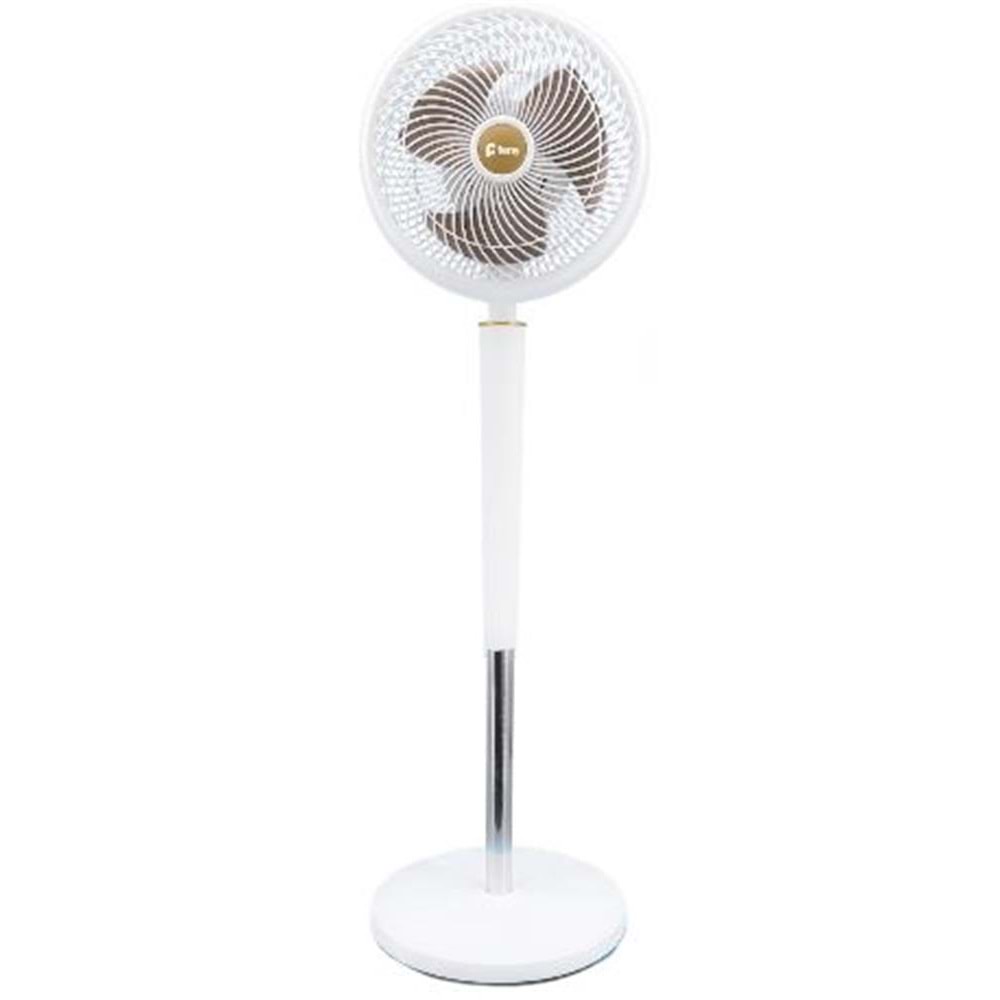 Feny FN-F15 Ev Tipi Yüksek Hızlı Çift Motorlu 2000RPM Ayaklı 70W 9