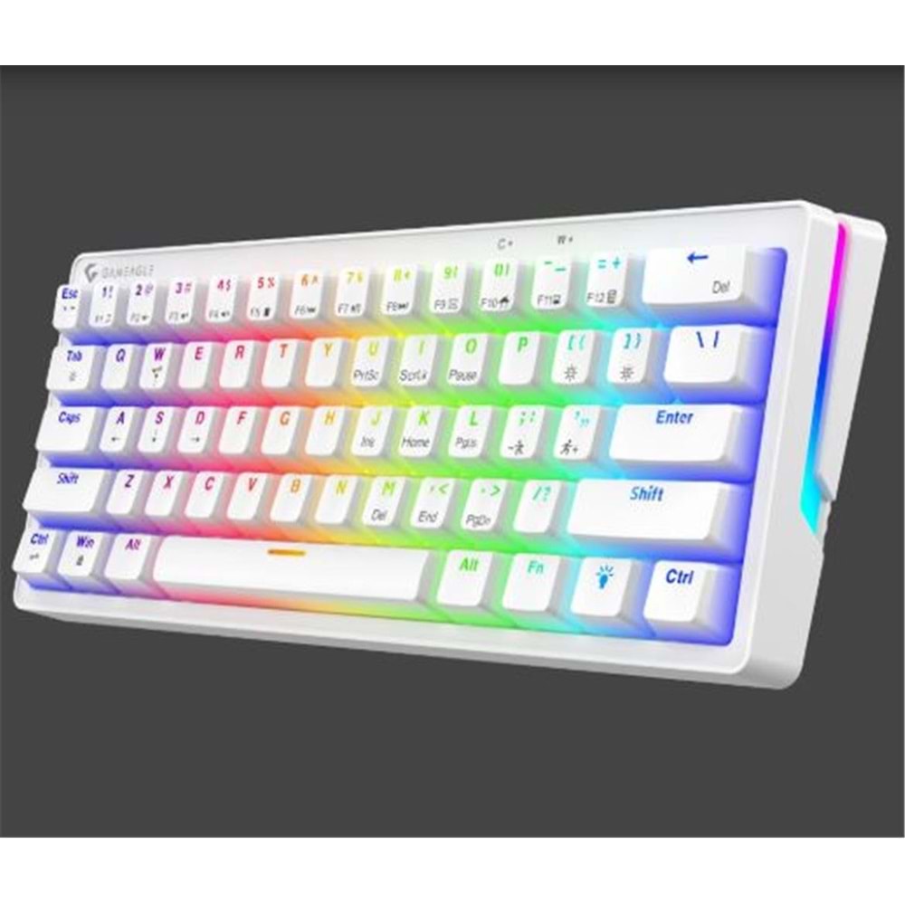 Gameagle GE2015 Poseıdon RGB Kablolu Us Layout Mekanik Beyaz Oyuncu Klavyesi 