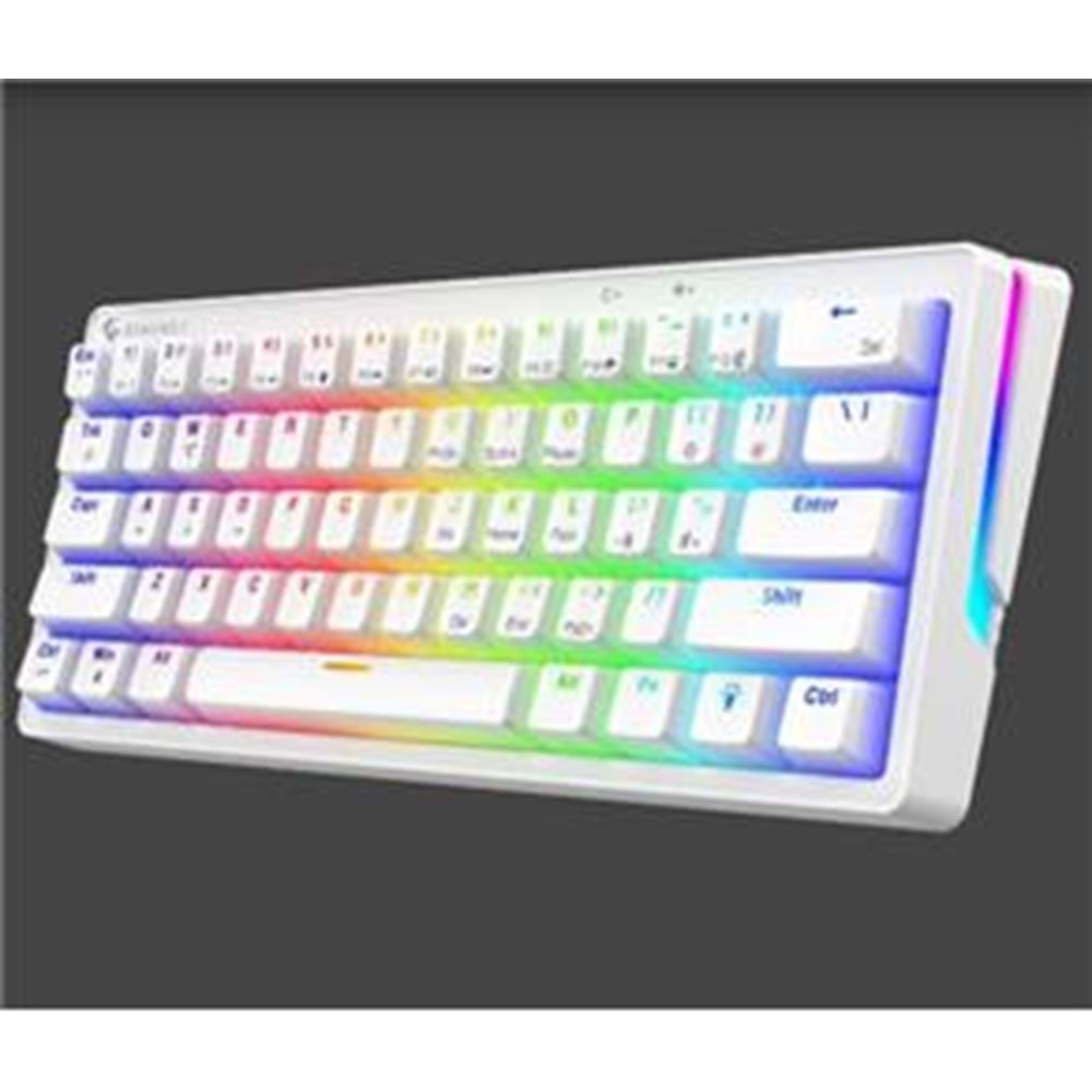 Gameagle GE2015 Poseıdon RGB Kablolu Us Layout Mekanik Beyaz Oyuncu Klavyesi 