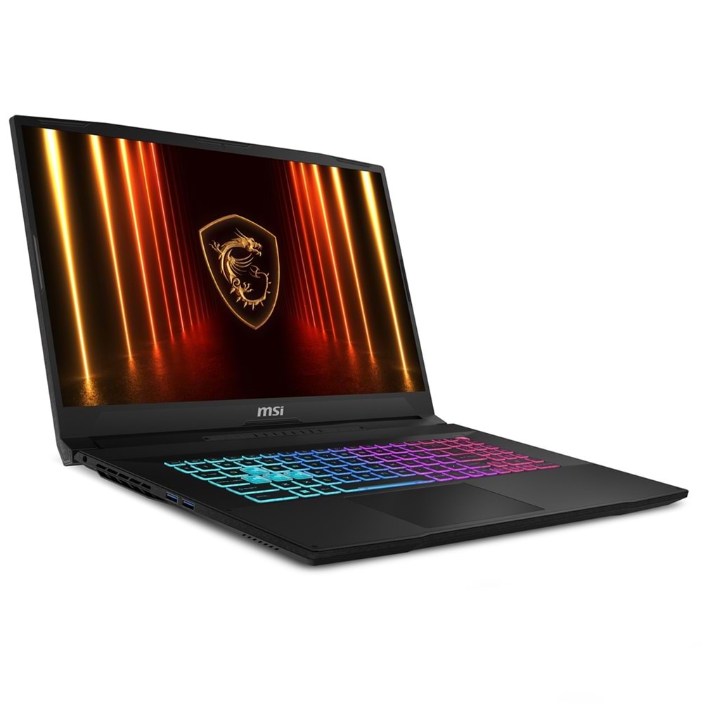 MSI 17