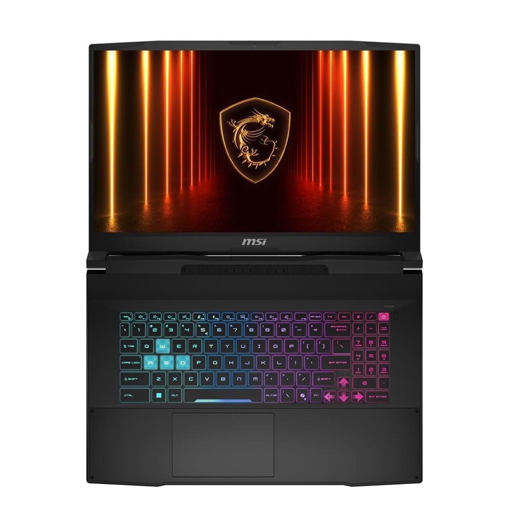 MSI 17.3