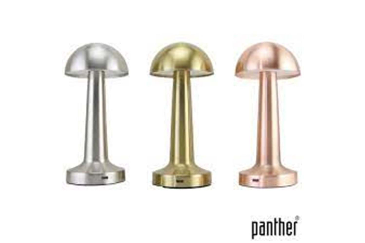 Panther PT-700 USB Şarjlı Masa Lambası (Karışık Renk)