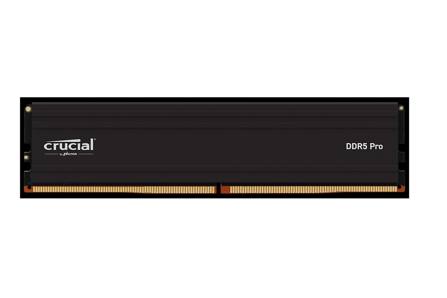 Crucial Pro CP24G56C46U5 24GB DDR5-5600 UDIMM CL46 (24Gbit) Soğutuculu PC RAM