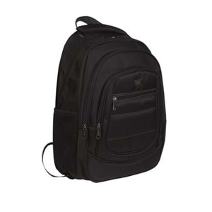 Plm Case Cosmic 15