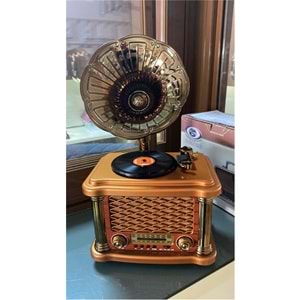 Everton Rt-586 Bluetooth Fm-Usb-Tf-Aux Şarjlı Nostaljik Radyo