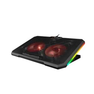 Addison Rampage AD-RC12 CLAW Siyah 2 Fan 2 USB RGB Işıklı 15