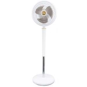 Feny FN-F15 Ev Tipi Yüksek Hızlı Çift Motorlu 2000RPM Ayaklı 70W 9