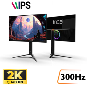 INCA 27