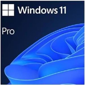Microsoft Oem Windows Pro 11 64 Bit Türkçe FQC-10556 Kutusuz İşletim Sistemi