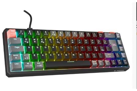 Rampage YORU MINI Siyah-Gri Type-C Bağlantılı OUTEMU Red Swich Q Mekanik Gaming Oyuncu Klavye RGB