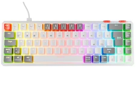 Rampage YORU MINI Beyaz-Gri Type-C Bağlantılı OUTEMU Red Swich Q Mekanik Gaming Oyuncu Klavye RGB