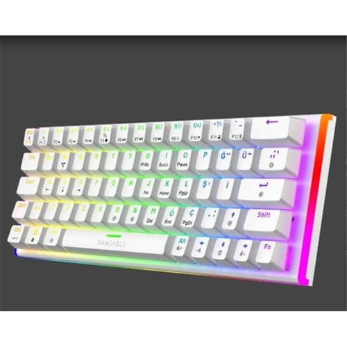 Gameagle GE2026 Caladrıa RGB Kablolu TR Layout Mekanik Beyaz Oyuncu Klavyesi 