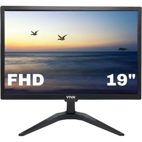 VIVA 19