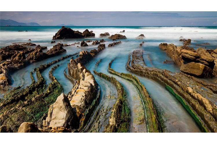 Lenovo ThinkCentre Neo 50A Gen5 i5-13420H 16GB 512GB SSD 12SCA079TR 23.8 FHD FreeDOS AIO Bilgisayar