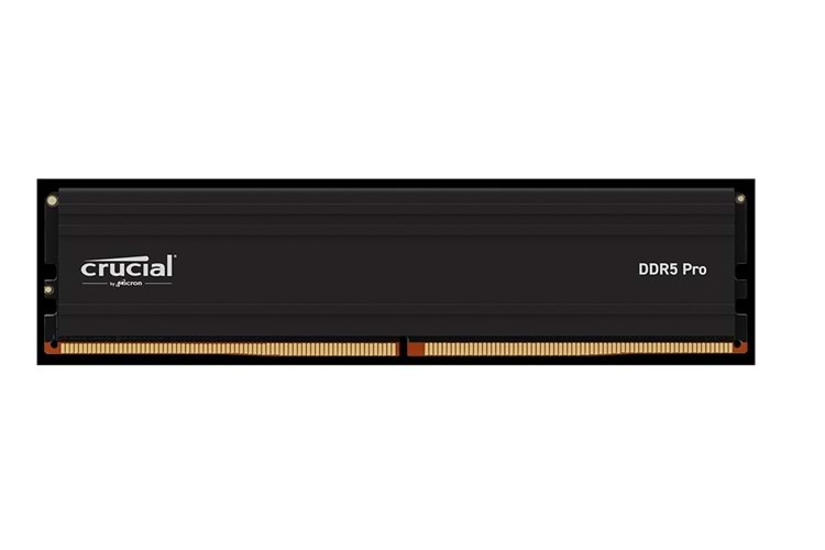 Crucial Pro CP24G56C46U5 24GB DDR5-5600 UDIMM CL46 (24Gbit) Soğutuculu PC RAM