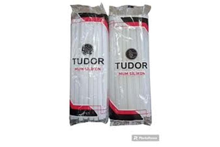 Tudor Macrofix Mum Silikon Kalın 1KG