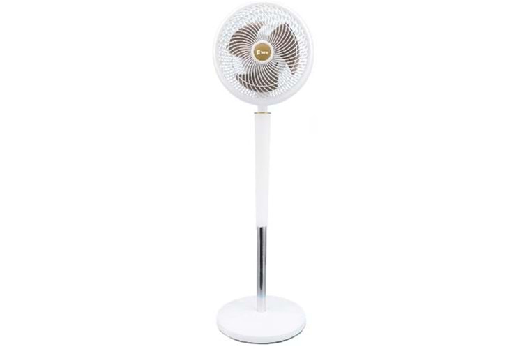 Feny FN-F15 Ev Tipi Yüksek Hızlı Çift Motorlu 2000RPM Ayaklı 70W 9