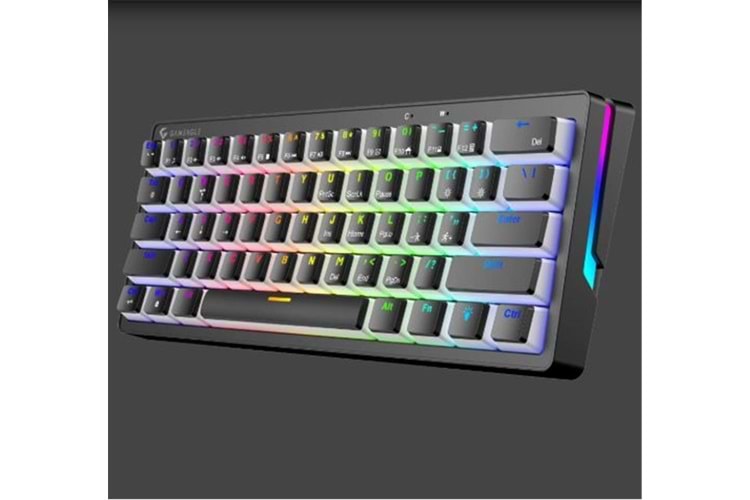 Gameagle GE2014 Poseıdon RGB Kablolu Us Layout Mekanik Siyah Oyuncu Klavyesi