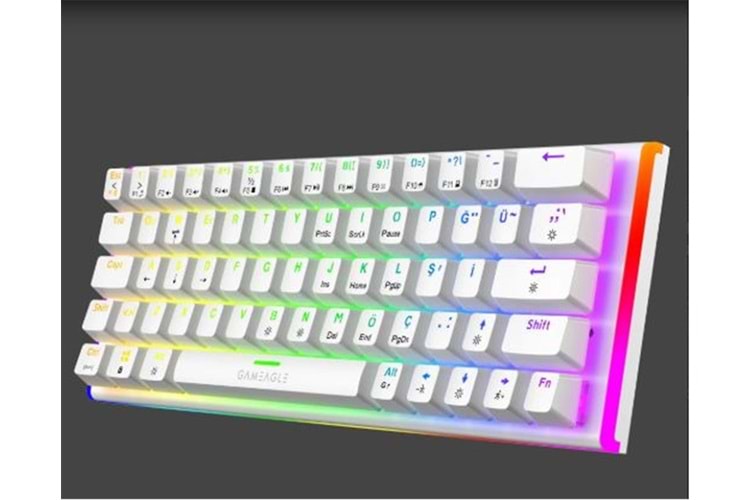 Gameagle GE2026 Caladrıa RGB Kablolu TR Layout Mekanik Beyaz Oyuncu Klavyesi 
