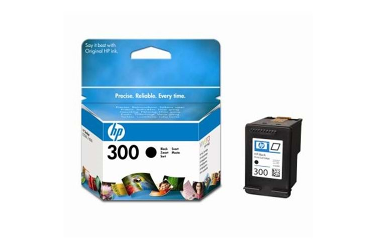 HP 300 Black Siyah Kartuş CC640EE