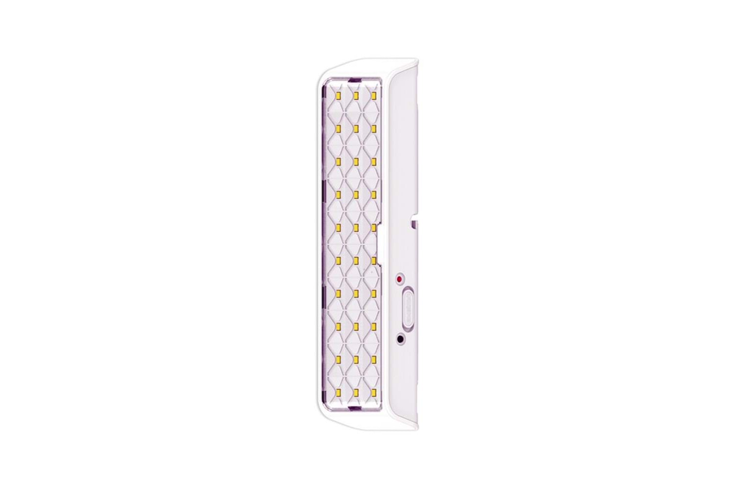 Panther PT-3001 30 SMD Led Şarjlı Işıldak