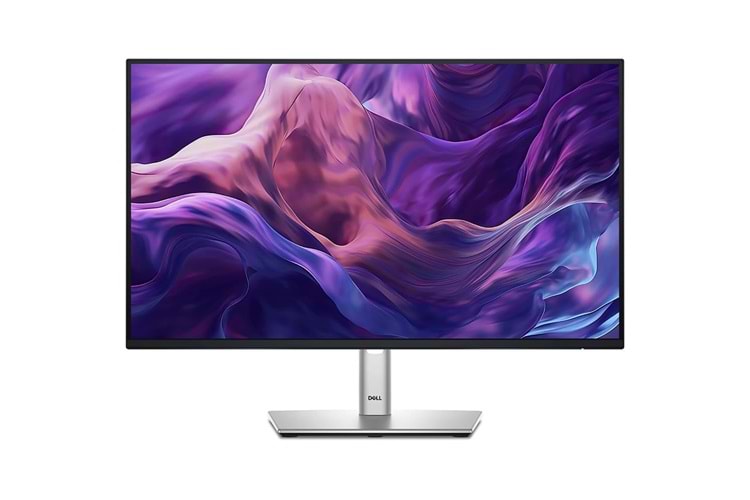 Dell 24