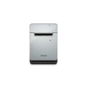 EPSON TM-L100 (103): USB BLACK PRNT ETHERNET SERIAL LINER FREE PS EU