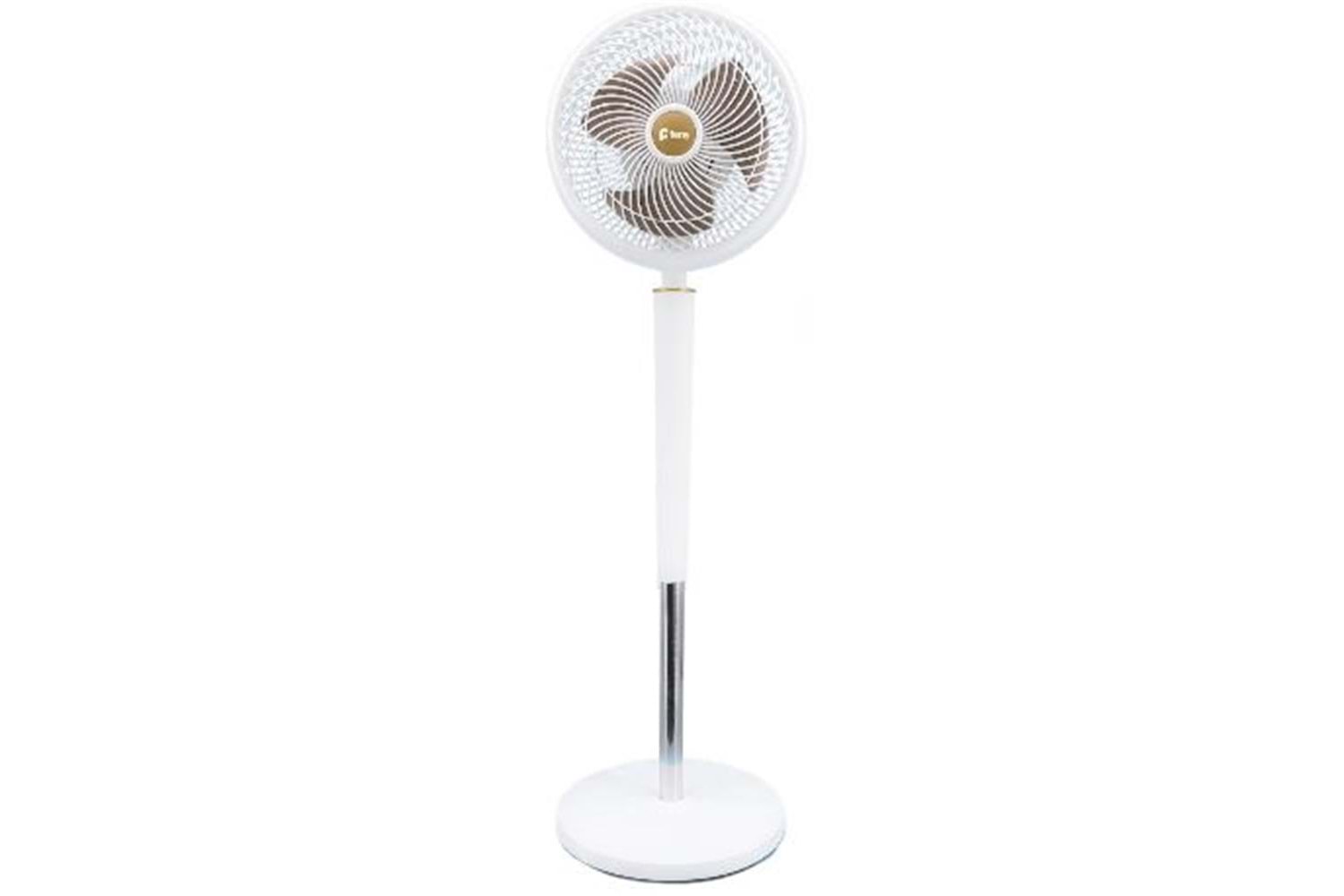 Feny FN-F15 Ev Tipi Yüksek Hızlı Çift Motorlu 2000RPM Ayaklı 70W 9
