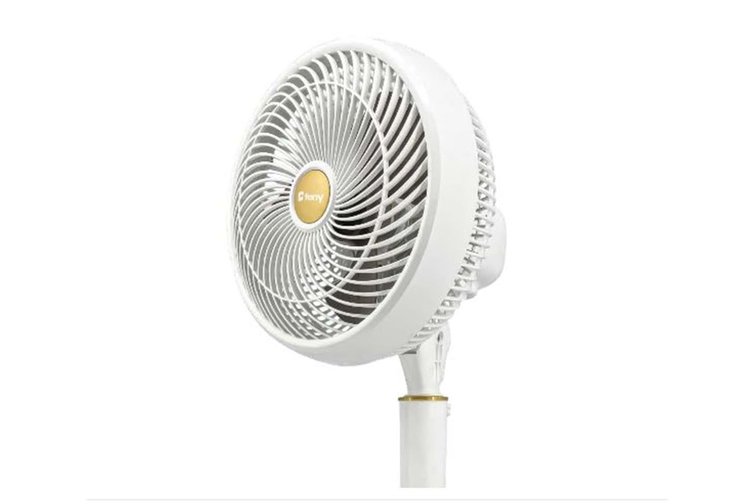 Feny FN-F15 Ev Tipi Yüksek Hızlı Çift Motorlu 2000RPM Ayaklı 70W 9
