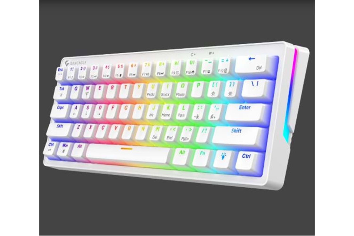 Gameagle GE2015 Poseıdon RGB Kablolu Us Layout Mekanik Beyaz Oyuncu Klavyesi 
