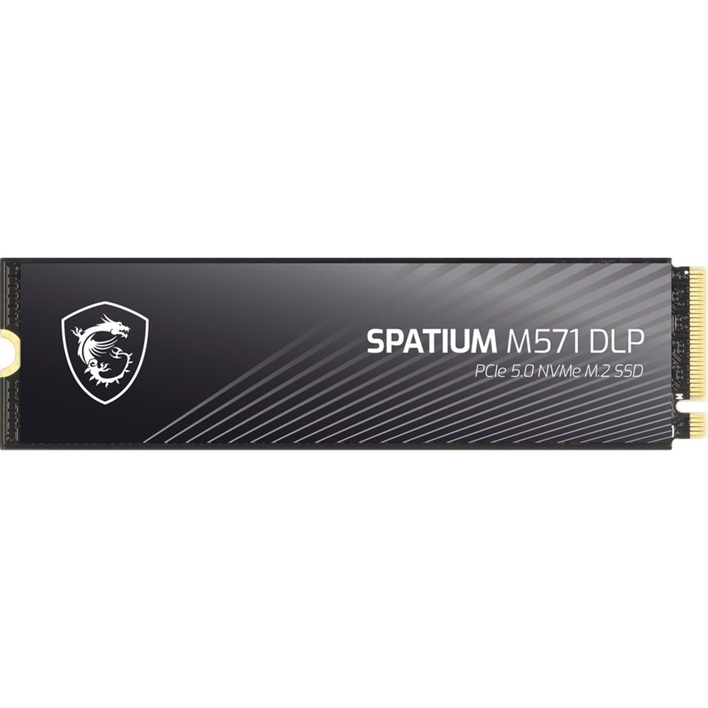 MSI 2TB M571 DLP 14500-11000MB/s M2 NVME GEN5 Disk