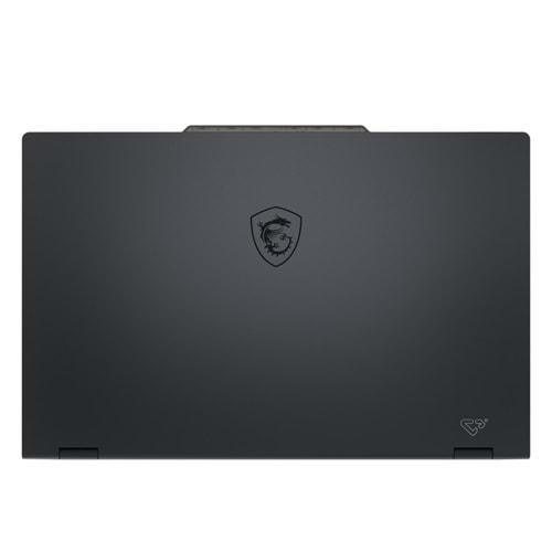 MSI 17.3