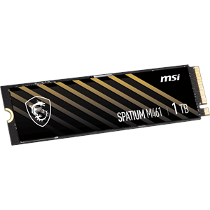 MSI 1TB SPATIUM M461 5000-4200MB/s M2 NVME GEN4 Disk