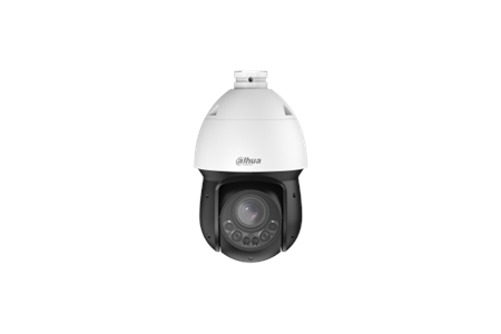 DAHUA 2MP SD4D225DB-HNY WizSense Akıllı Çift Işık Ptz Kamera 25x